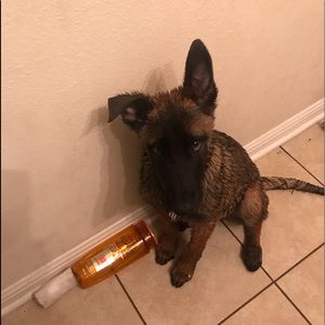 Meet your Posher, Blanca